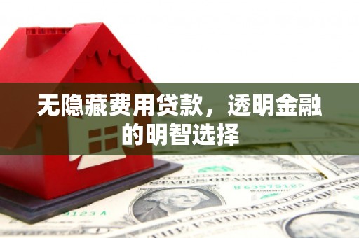 凤阳无隐藏费用贷款，透明金融的明智选择