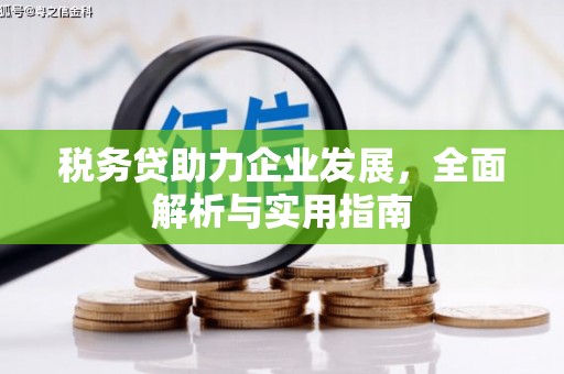 凤阳税务贷助力企业发展，全面解析与实用指南
