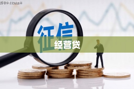 凤阳经营贷