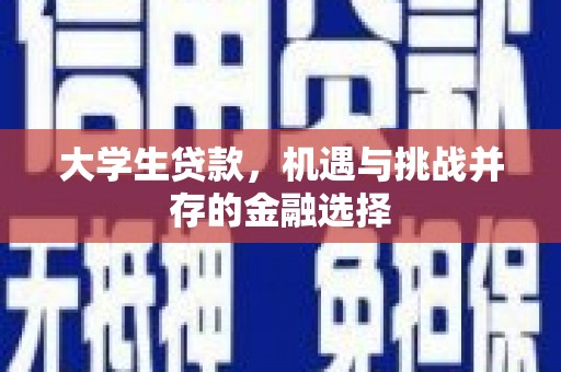凤阳大学生贷款，机遇与挑战并存的金融选择