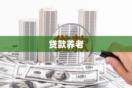 凤阳贷款养老