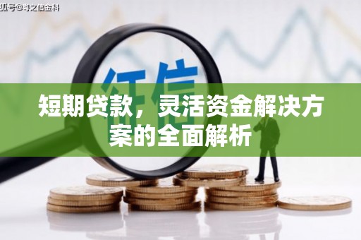 凤阳短期贷款，灵活资金解决方案的全面解析