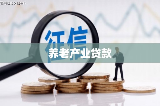 凤阳养老产业贷款