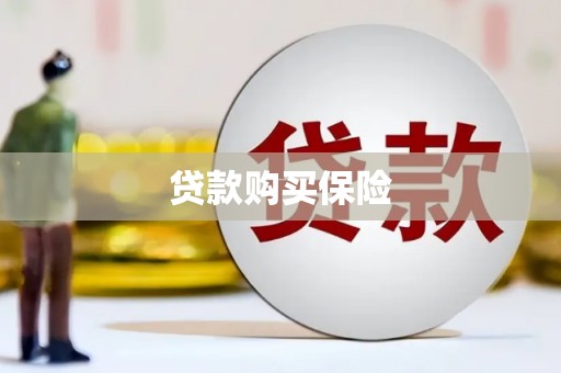 凤阳贷款购买保险