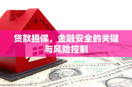 凤阳贷款担保，金融安全的关键与风险控制