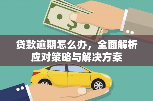 凤阳贷款逾期怎么办，全面解析应对策略与解决方案