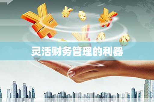 凤阳灵活财务管理的利器