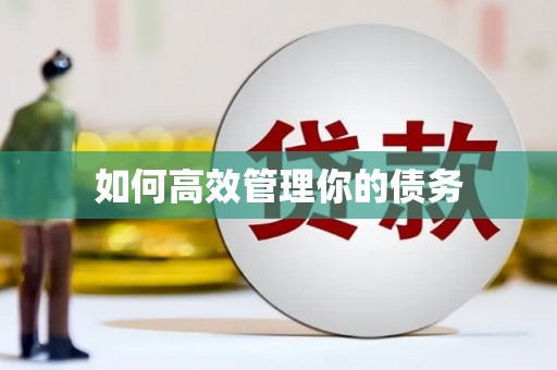 凤阳如何高效管理你的债务