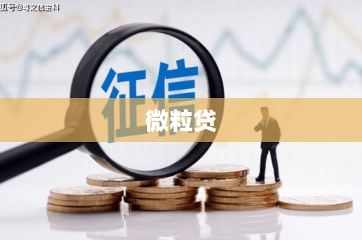 凤阳微粒贷