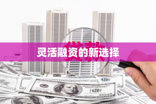 凤阳灵活融资的新选择