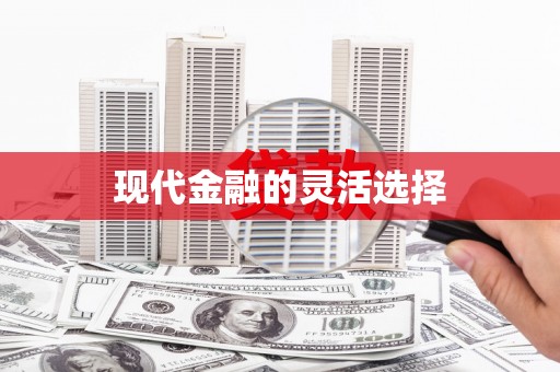 凤阳现代金融的灵活选择