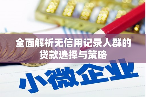 凤阳全面解析无信用记录人群的贷款选择与策略