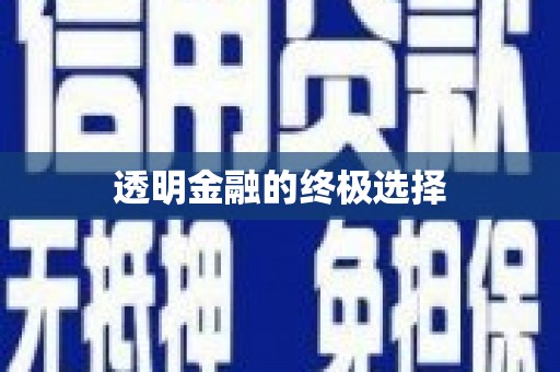 凤阳透明金融的终极选择