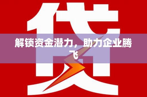 凤阳解锁资金潜力，助力企业腾飞