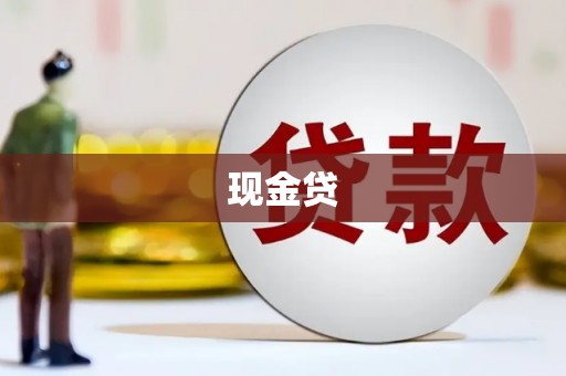 凤阳现金贷