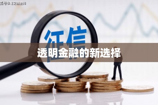 凤阳透明金融的新选择