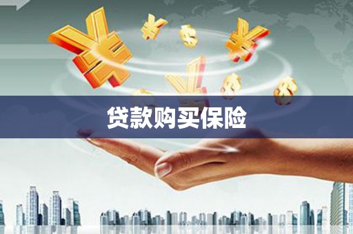 凤阳贷款购买保险